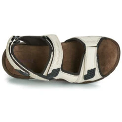 André Miami 14 André Miami -Passo Libero 13478084 500 F