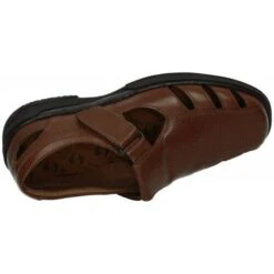 Primocx -Passo Libero 19795688 500 C