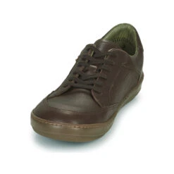 El Naturalista Meteo -Passo Libero 22686110 500 C