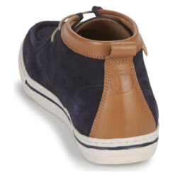 Pellet Regis -Passo Libero 23814164 500 E