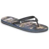 Quiksilver Molokai Air Flow 1 Quiksilver Molokai Air Flow -Passo Libero 24767523 500 A